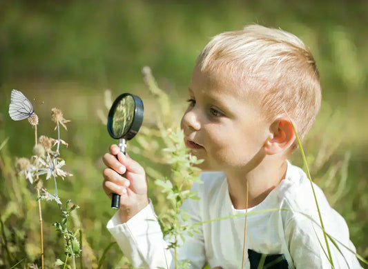 Child observing butterfly with magnifying glass in nature, exploring insects and their role in sustainability education